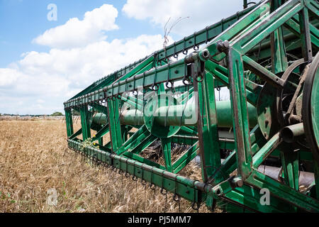 Macchina mietitrebbiatrice di raccolti di frumento in un Agriturismo in Puglia, Italia. Foto Stock