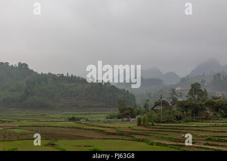 Ha Giang, Vietnam - Marzo 17, 2018: terreno agricolo circondato da colline di nebbia nel nord del Vietnam Foto Stock