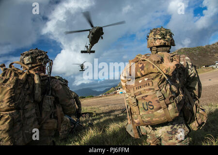 4 settembre 2018 - Marine Corps base Hawaii, Hawaii, Stati Uniti - STATI UNITI I soldati dell esercito assegnato a Charlie Co., 1° Battaglione, 27 Reggimento di Fanteria "Wolfhound", 2 della brigata di fanteria combattere la squadra, XXV divisione di fanteria, attendere per evacuazione medica UH-60 Black Hawk elicotteri durante un assalto dell'aria missione di formazione in Marine Corps base Hawaii, Kaneohe, Hawaii, e il agosto 21, 2018. L'esercizio mantiene la Combat Readiness in preparazione per un giunto Readiness Training Center la rotazione entro la fine di quest'anno. (U.S. Foto dell'esercito da 1Lt. Ryan DeBooy) www.dvidshub.net U.S. Dipartimento della difesa tramite Foto Stock