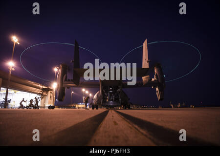 Campo Hurlburt, Florida, Stati Uniti d'America. 4 Sep, 2018. Aria Commandos con la 801st Operazioni Speciali squadrone manutenzione ispezionare un CV-22 Osprey tiltrotor aeromobile, 24 agosto 2018, a Hurlburt Field, Florida. Più aeromobili assegnati al primo Special Operations Wing ha preso il via dal campo Hurlburt per eseguire un cavalcavia presso la Air Force Memorial in onore di U.S. Air Force Tech. Sgt. John Chapman, che postumo è stato premiato con la medaglia d'Onore per eroismo straordinario. (U.S. Air Force photo by Staff Sgt. Ryan Conroy) www.dvidshub.net U.S. Dipartimento della difesa tramite globallookpress.com ( Foto Stock