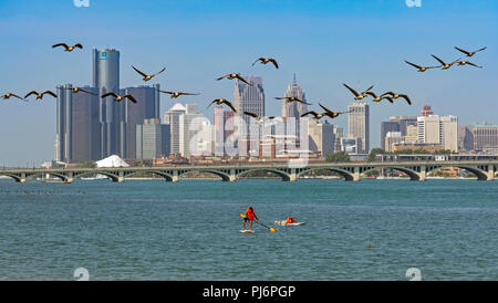 Detroit, Michigan - Oche del Canada volare sulle persone a giocare nel fiume Detroit su un caldo giorno d'estate. Foto Stock