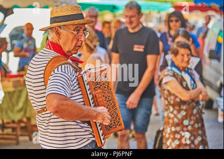 Saint Felicien, Ardeche dipartimento del Rodano Alpi e un lettore di fisarmonica intrattiene la gente alla festa del formaggio. Foto Stock