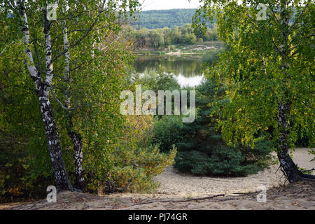 Banco di sabbia di fiume Oka nella regione di Mosca, Russia Foto Stock