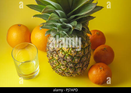 Ananas singolo isolato su sfondo giallo con vetro vuoto e mandarini arance collocato in mezzo tondo. Foto Stock