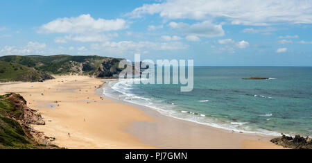 Praia do Amado (Amado spiaggia). Parque Natural do Sudoeste Alentejano e Costa Vicentina, Algarve. Portogallo Foto Stock