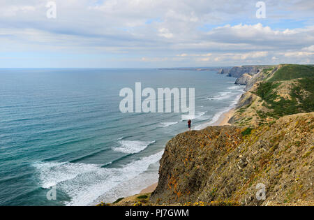 Scogliere del Parque Natural do Sudoeste Alentejano e Costa Vicentina, la più selvaggia costa atlantica in Europa. Algarve Portogallo Foto Stock