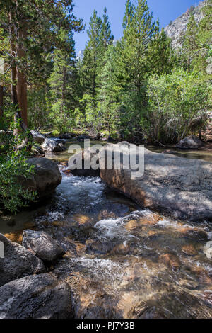 Rock Creek fluisce attraverso Iris prato campeggio nella parte orientale della sierra Nevada della California USA nell'estate del 2018 Foto Stock