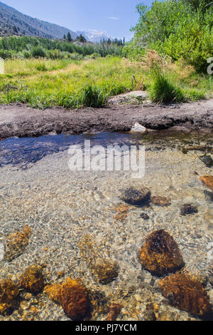 Rock Creek fluisce attraverso Iris prato campeggio nella parte orientale della sierra Nevada della California USA Foto Stock