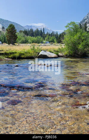 Rock Creek fluisce attraverso Iris prato campeggio nella parte orientale della sierra Nevada della California USA Foto Stock