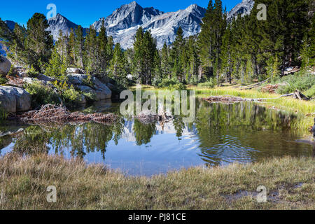 Un piccolo unnamed montagna lago riflette le lontane cime dei monti e gli alberi in questo meraviglioso paesaggio delle montagne della Sierra Nevada in California Foto Stock