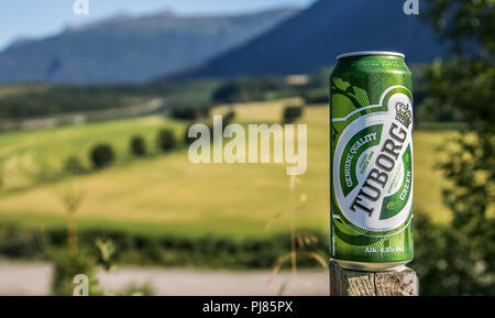 Norvegia, 27 Luglio 2018: Può di Tuborg birra si erge contro la splendida cornice naturale. Foto Stock