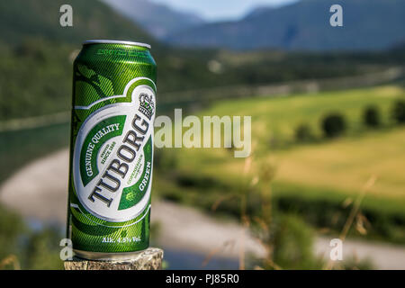 Norvegia, 27 Luglio 2018: Può di Tuborg birra si erge contro la splendida cornice naturale. Foto Stock