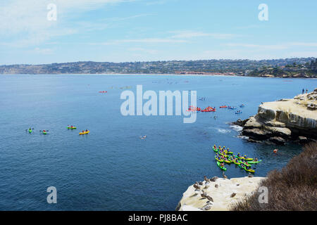 Seal Beach a La Jolla Cove a La Jolla, California Foto Stock