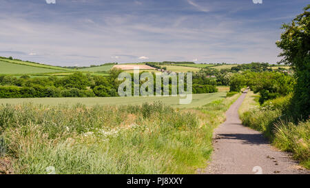 Il nord del Dorset Trailway cycleway e il sentiero segue il percorso del Somerset in disuso e Dorset ferrovia attraverso terreni agricoli campi nell'Blackmore Foto Stock