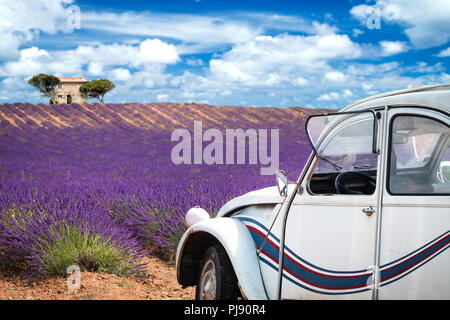 Vecchia vettura francese nella parte anteriore del campo di lavanda in Provenza Francia colorata viola closeup ripresa macro sfondo agricoltura Foto Stock
