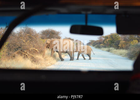 Madre di elefante e il suo cucciolo di Etosha Namibia Foto Stock