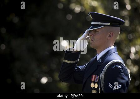 Un U.S. Air Force Guardia d'onore cerimoniale saluta guardsman Capt. Mark Weber scrigno durante il suo servizio funebre, 9 luglio 2018, presso il Cimitero Nazionale di Arlington, Virginia Weber, una trentottesima Rescue Squadron combat rescue officer e Texas native, è stato ucciso in un HH-60G Pave Hawk crash nella provincia di Anbar, Iraq, Marzo 15. Amici, familiari e Angelo Custode aviatori percorsa da attraverso gli Stati Uniti per partecipare alla cerimonia e pagare i loro rispetti finale. Foto Stock