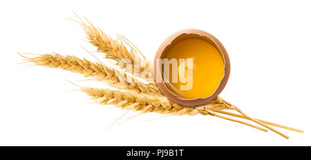 Uovo fresco tuorlo d'orecchio di grano isolato su sfondo bianco come pacchetto elemento di design Foto Stock