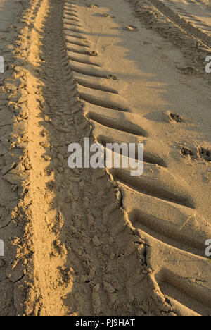 Estate Mare, la mattina presto sulla spiaggia, impronte di un grosso pneumatico sulla spiaggia, l'impronta di veicoli che pulire la spiaggia di mattina presto, verticale Foto Stock