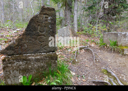 Il cimitero di Pet lungo il Saco Lago Trail in Carroll, New Hampshire. Foto Stock