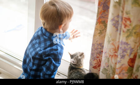 Poco toddler boy apre décorétrès sulla strada per il gatto domestico Foto Stock