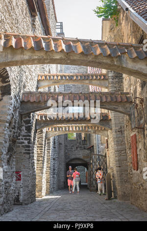 Katarina Kaik Tallinn, in vista della piastrella medievale sormontato archi spanning Passaggio di Santa Caterina (Katarina Kaik) nel quartiere della Città Vecchia di Tallinn, Estonia. Foto Stock