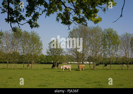 Campo ACCANTO A429 Stratford Road nel sud di Warwick Foto Stock