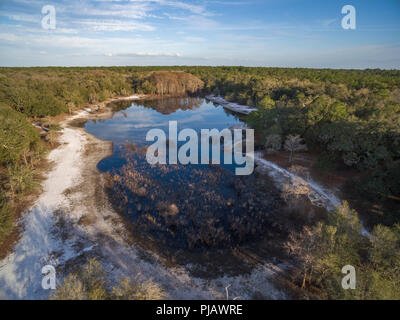 Indian Lago inverno. Indian Lake Forest, Marion County Florida Foto Stock