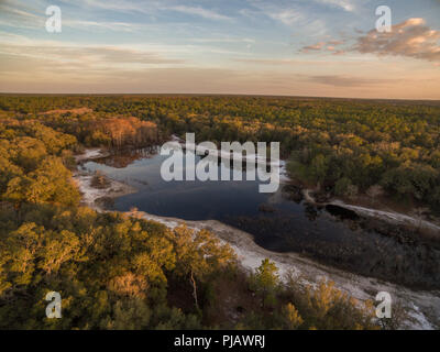 Indian Lago inverno. Indian Lake Forest, Marion County Florida Foto Stock