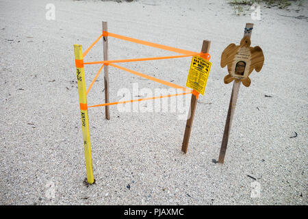 Cartelli di avvertimento proteggere beachgoers dal disturbo di uova di tartaruga nido su Anna Maria Island, sulla costa del Golfo della Florida, Stati Uniti d'America Foto Stock