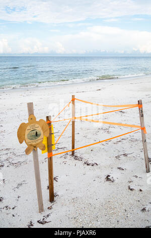 Cartelli di avvertimento proteggere beachgoers dal disturbo di uova di tartaruga nido su Anna Maria Island, sulla costa del Golfo della Florida, Stati Uniti d'America Foto Stock