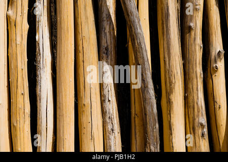 In legno palizzata, parco degli uccelli, Villars Les Dombes, Francia Foto Stock