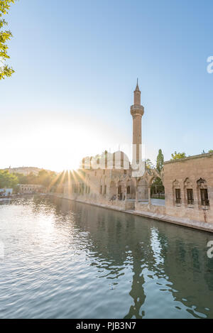 Vista di Halil-Ur Rahman lago o named Balikli Gol(pesce di lago) in Sanliurfa,Turchia. Foto Stock