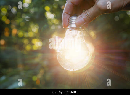 Mano che tiene le lampadine con incandescente sulla natura dello sfondo. Idea, la creatività e il risparmio energetico con le lampadine del concetto. Foto Stock