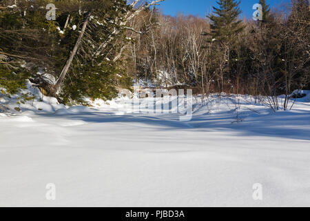 Ponte pedonale lungo la Lincoln Woods Trail a Lincoln, New Hampshire. Questo ponte attraversa il Franconia Brook, escursionisti e entrare nel Pemigewasset Wilde Foto Stock