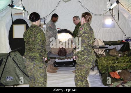 I soldati della U.S. Esercito della riserva 628th in avanti il team chirurgico fuori di Fort Sam Houston, Texas, pratica lo scarico di una barella con le loro forze armate canadesi omologhi utilizzando un ingresso speciale di una sostanza chimica biologica riparo protettivo M8E1 distribuito su un sito di formazione mediante il 628th FST durante il Global Medic esercizio luglio 13 a Fort Hunter Liggett, California. Il veicolo mobile montato su shelter è auto-dispiegabile e serve come un self-contained protettiva dell'aria condizionata sistema che è privo di contaminazione. Esso consente di sostegno militare al personale di lavorare in modo sicuro e facilmente senza dover w Foto Stock