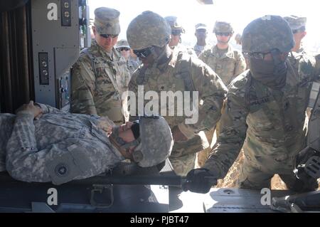 Spc. Zhahid Salinas, (destra) una purificazione di acqua specialista con gli Stati Uniti Esercito della riserva 968th Quartermaster società fuori della Tustin, California, si prepara a rimuovere una barella da un HH-60M Blackhawk elicottero durante un MEDEVAC 101 classe a sostegno dell'esercizio Global Medic luglio 13 a Fort Hunter Liggett, California. Foto Stock