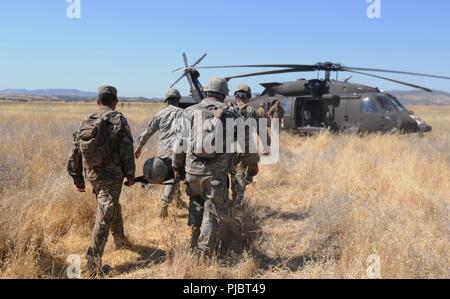 Soldati provenienti da varie unità della formazione a sostegno del Global Medic esercizio a Fort Hunter Liggett, California, pratica su come caricare correttamente una barella su un HH-60M Blackhawk elicottero durante un MEDEVAC 101 classe, 13 luglio. Foto Stock