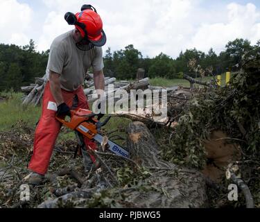 Il personale Sgt. Justin Wielock del 103 Ingegnere Civile Squadron utilizza una sega a nastro per il taglio di un albero durante un detrito scenario di clearing, Domenica, Luglio 15, 2018 a Volk settore Air National Guard Base, Wis. i detriti clearing scenario è stato parte del patriota Nord 18, annualmente una formazione congiunta di esercizio che esegue il test di interoperabilità dei militari e civili di agenzie. (Air National Guard Foto Stock