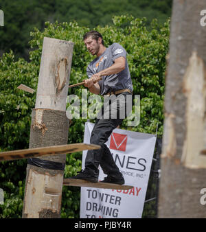 Lumberjack concorrenza, Cherry Valley giochi all'aperto, Otsego County, nello Stato di New York. Foto Stock