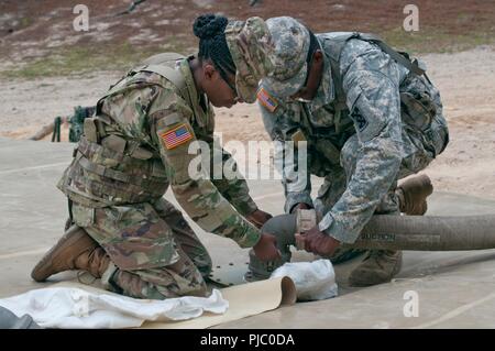 Stati Uniti La riserva di esercito di soldati, PFC. Tkieya Arthur e SPC. Thomas Watkins, 92W, trattamento acque specialisti, con la 431st Trattamento Acqua di distacco in base Winterville, North Carolina assicurare una corretta tenuta sul tubo di aspirazione che conduce al 609-C gruppo della pompa dell'acqua durante il Quartermaster Logistica liquido di esercizio 2018 a Fort Bragg, North Carolina, luglio 14-28, 2018. QLLEX è un esercizio che garantisce la U.S. Esercito di unità di riserva e soldati sono addestrati e pronti per stabilire la depurazione delle acque, lo stoccaggio, la distribuzione e le operazioni del carburante al fine di fornire la vita sostenere acqua e carburante. Foto Stock