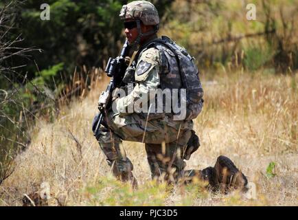 Spc. John Giltamag, fante, Alfa Co. 3° Battaglione, 161Reggimento di Fanteria tira la sicurezza durante una tattica di squadra esercizio lane sulla luglio 20, 2018 a base comune Lewis-Mccorda. 3° Battaglione sta conducendo attualmente tre settimane di formazione annuale. (US National Guard Foto Stock