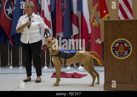 Pappy Boyington, una terapia cane assegnato al Naval Medical Center di Camp Lejeune e il suo trainer, Sunnie Tortorici, partecipare a un evento di debutto a NMCCL, N.C., 10 luglio 2018. Pappy è il primo cane di terapia per offrire assistenza ai pazienti e al personale di NMCCL. Foto Stock