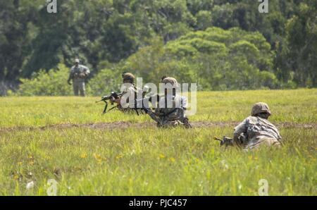 Stati Uniti La riserva di esercito di soldati con la B Company, centesimo battaglione di fanteria, 442nd Reggimento di Fanteria, 9 Supporto della missione condotta di comando una formazione situazionale esercizio ad est di gamma in Schofield Barracks, Hawaii, luglio 11, 2018. L'esercizio convaliderà i soldati abilità nella preparazione per il fulmine Forge 18. Foto Stock