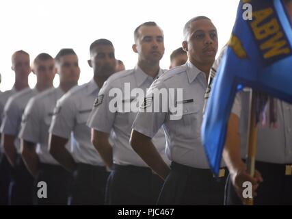 Stati Uniti Avieri dal 673d aria ala Base, stand in formazione durante la 673d aria ala di base del cambiamento di cerimonia di comando Luglio 13, 2018 a base comune Elmendorf-Richardson, Alaska. 673d ABW commander Col. George T.M. Dietrich III ha girato oltre il comando al Col. Patricia A. Csànk. Foto Stock