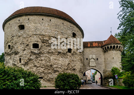 Vista del grasso Torre di Margaret e grande cancello costiere nel centro storico di Tallinn, Estonia Foto Stock