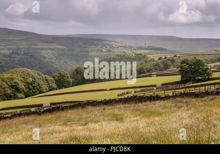 Campi agricoli e brughiera sopra Heptonstall nel sud Pennines uplands regione dell'Inghilterra. Foto Stock