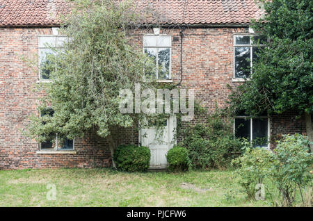 Alberi e arbusti crescono attorno allo sportello su country house. Regno Unito Foto Stock