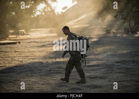 Stati Uniti Army Spc. Darren Smith, una riserva di polizia militare ufficiale con il quattrocentesimo Polizia Militare battaglione, con sede a Fort Meade, Maryland, passeggiate lungo la sua unità tattica dell area formazione durante un combattimento Supporto Formazione Esercizio (CSTX) a Fort Hunter Liggett, California, 19 luglio 2018. Durante l'esercizio scenario, la polizia militare sono responsabili per un teatro fermo impianto per processi e proteggere fino a 4.000 nemico di prigionieri di guerra e anche di gestire una detenzione area di contenimento ad accogliere sfollati civili. La polizia militare dispone di una vasta gamma di responsabilità durante le operazioni di combattimento che Foto Stock