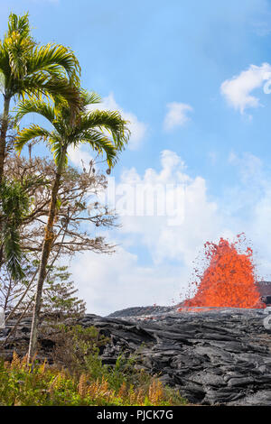 Lava dal vulcano Kilauea erutta da una fessura sulla strada Pohoiki, appena fuori di Leilani Estates suddivisione, vicino Pahoa, Puna quartiere Isola delle Hawaii Foto Stock